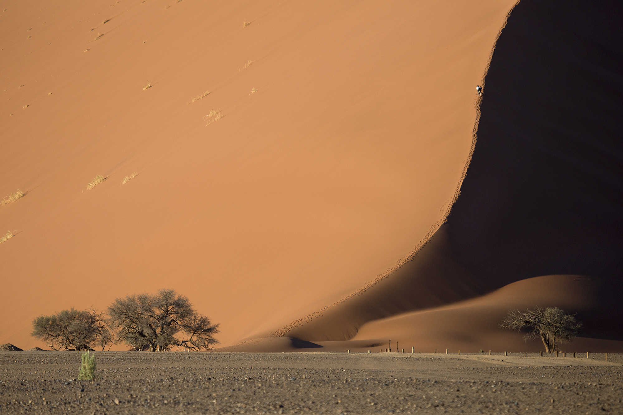 Dune 45