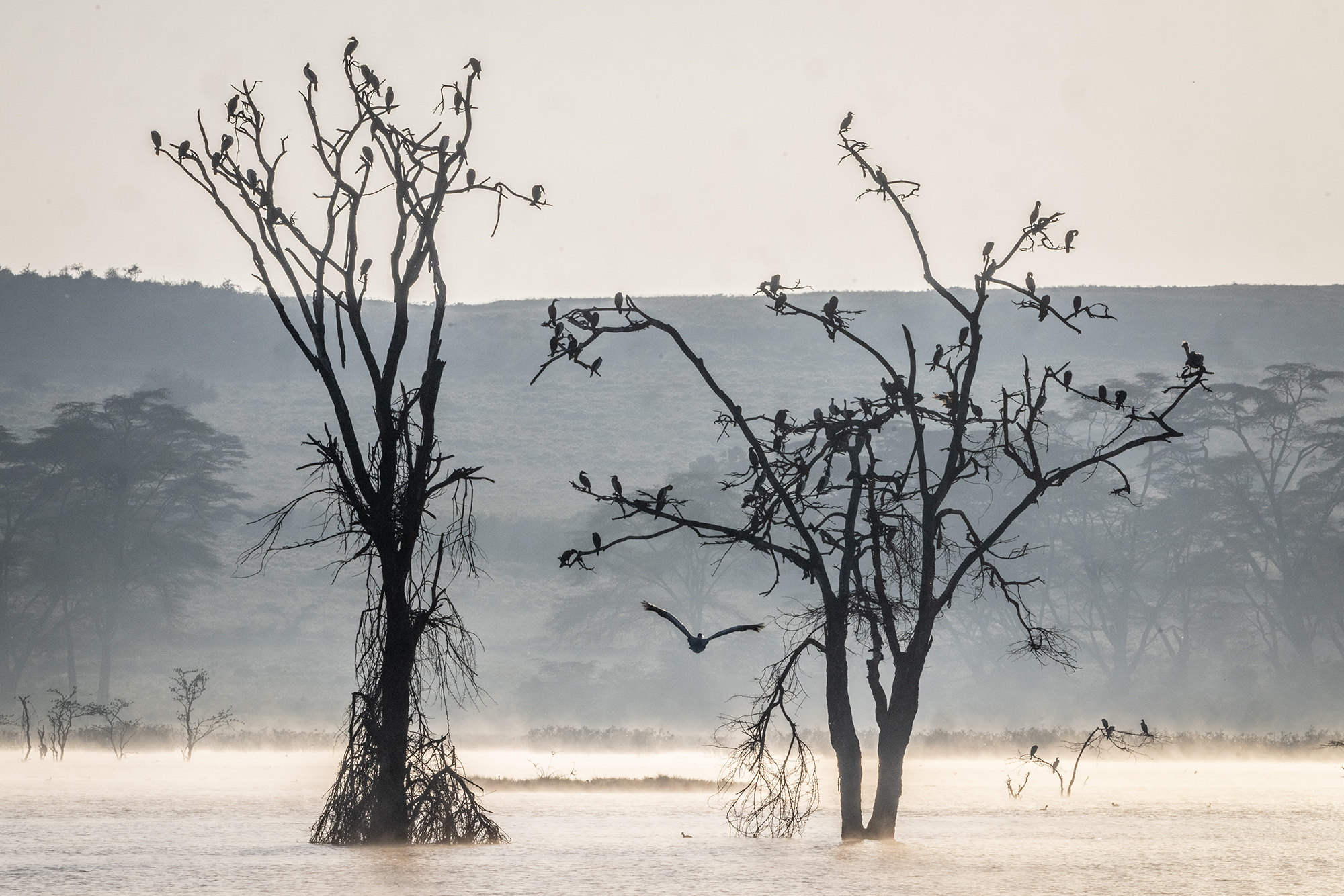 _B5A0123 kopie middel