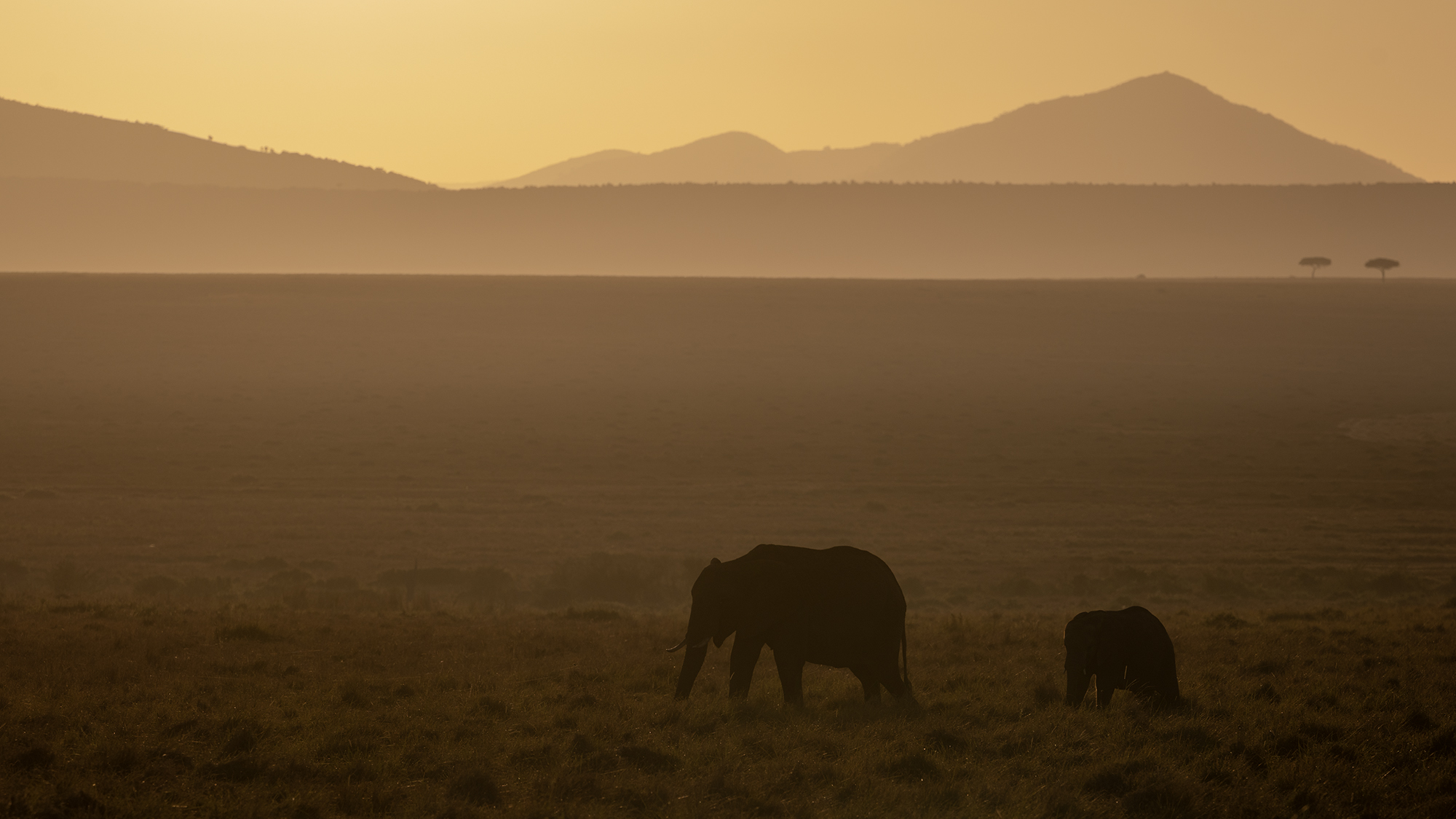 _B5A3512 kopie middel