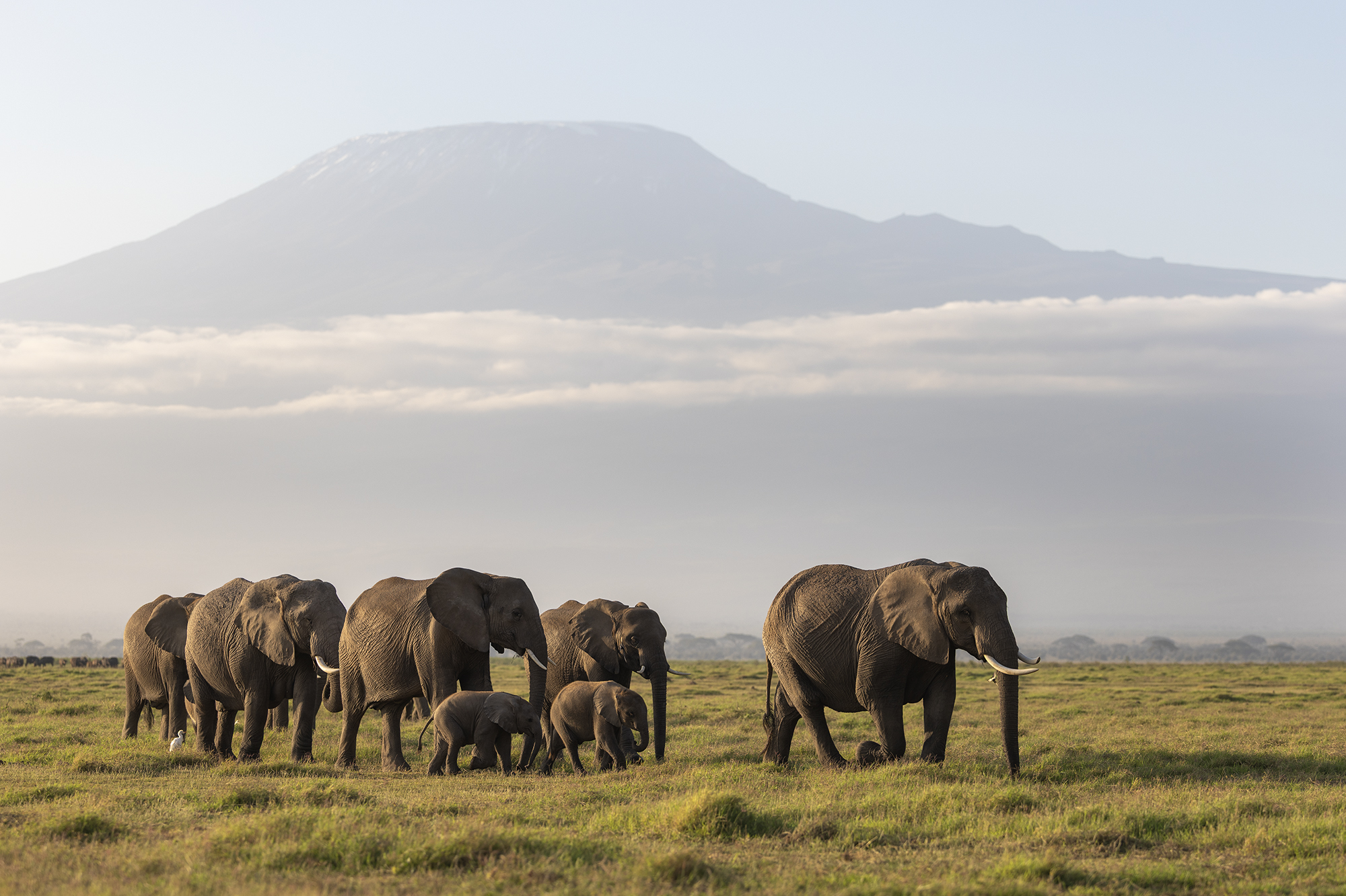 _B5A7569 kopie middel