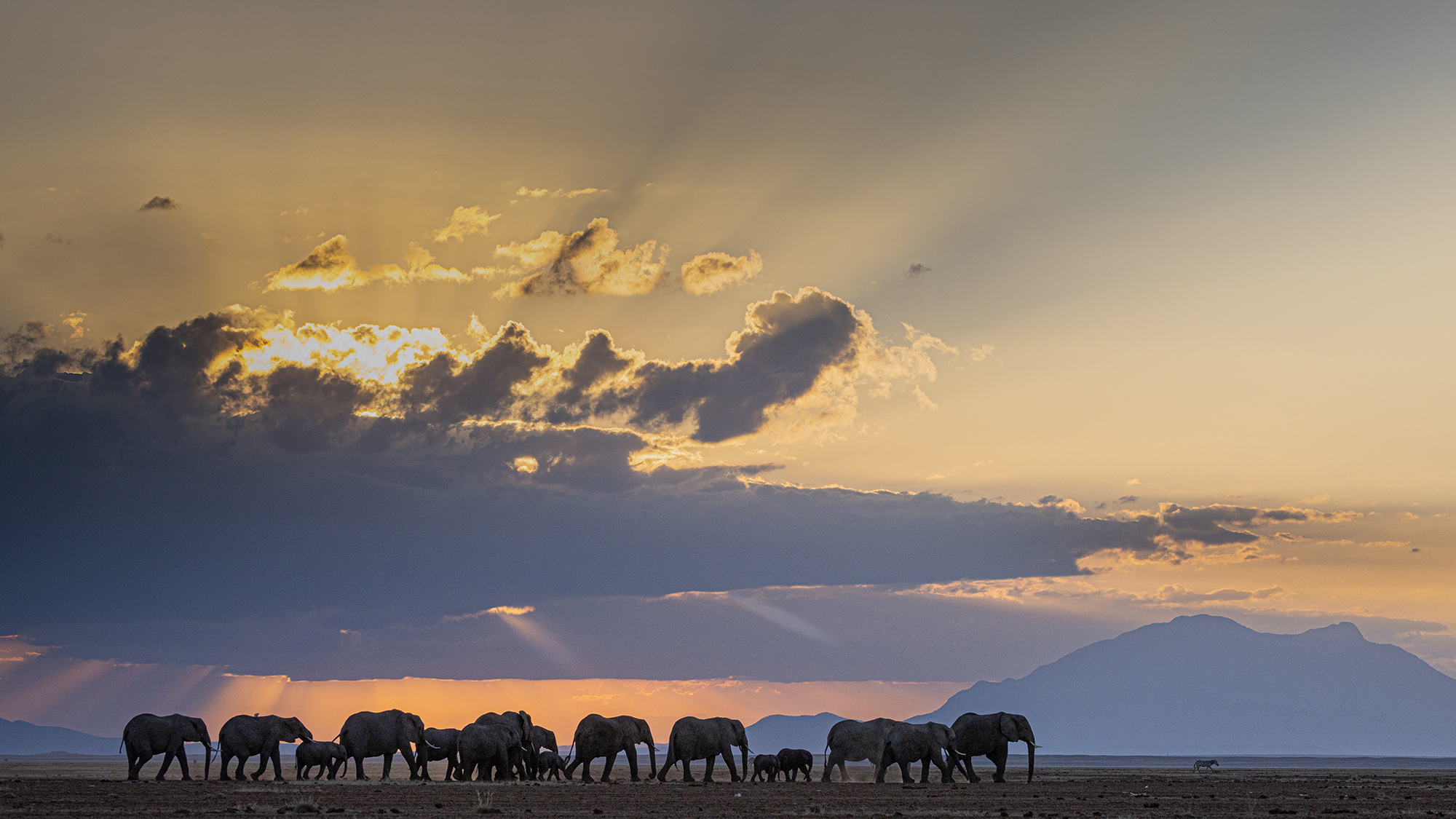 _B5A9459 kopie middel 2