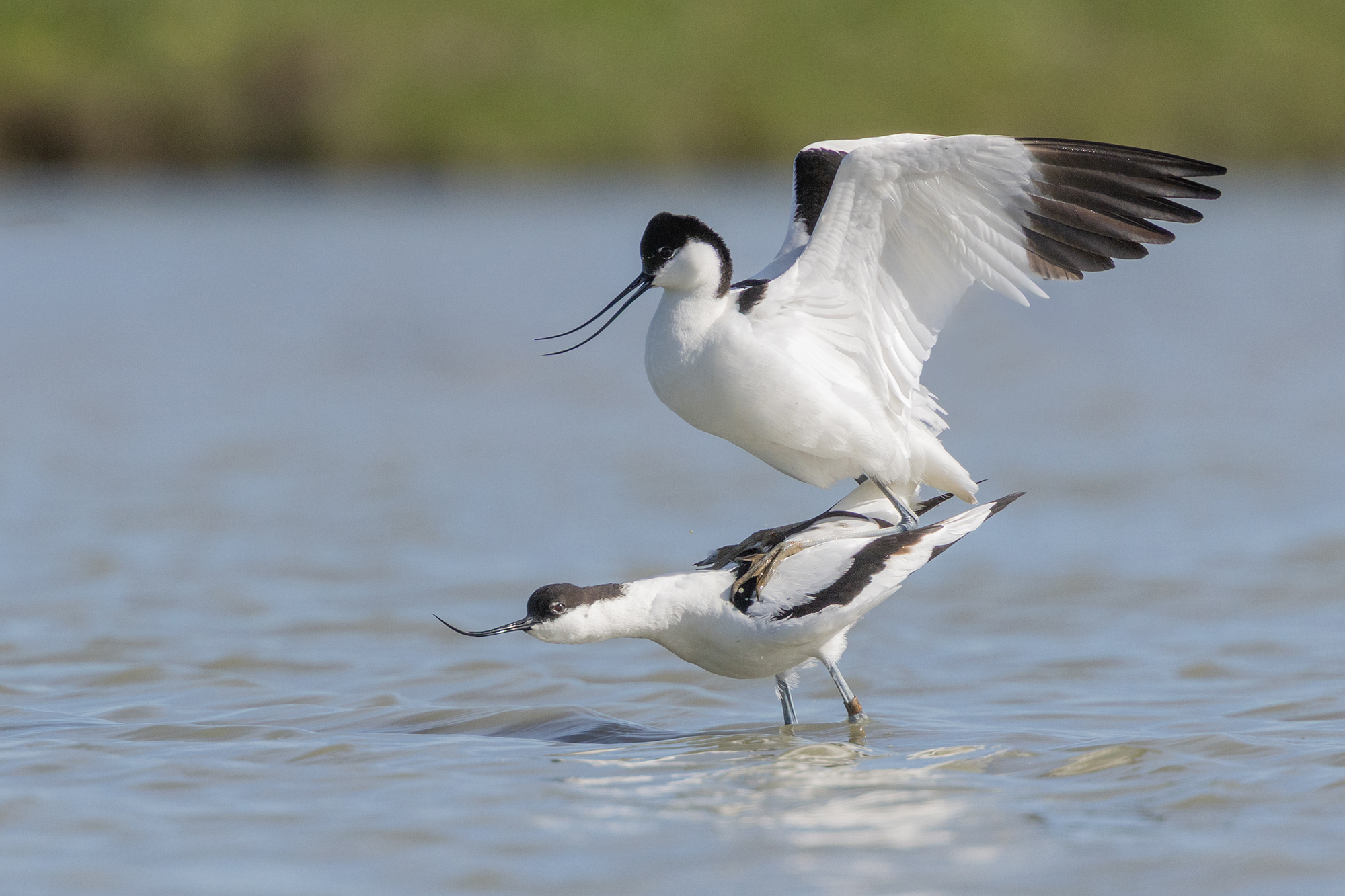 _21A0616 kopie klein